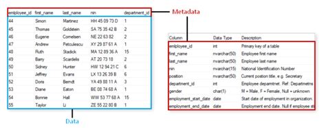 Which Component Stores Metadata In Dbms Catalog