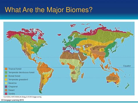 which factor causes the main diffrences berween biomes