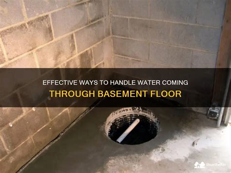 which insurance covers water coming through basement