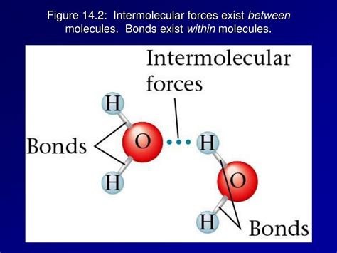 which intermolecular forces can be found in the following molecules