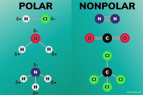 which of the following is polar molecule