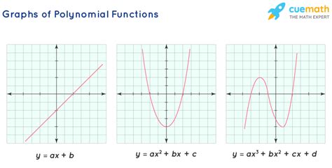 which of the following polynomial functions is graphed below