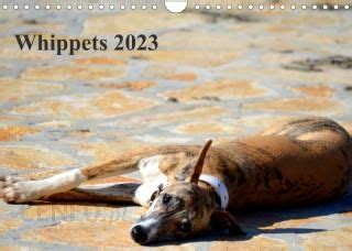 whippet 2016at version wandkalender 2016 quer Epub