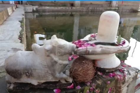 white shivling in dream