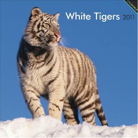 white tigers 2011 square 12x12 wall calendar Doc