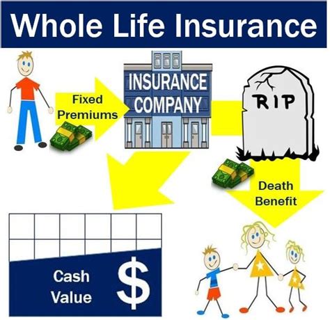 whole life insurance definition