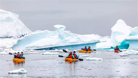 why antarctica? a ross sea odyssey Reader