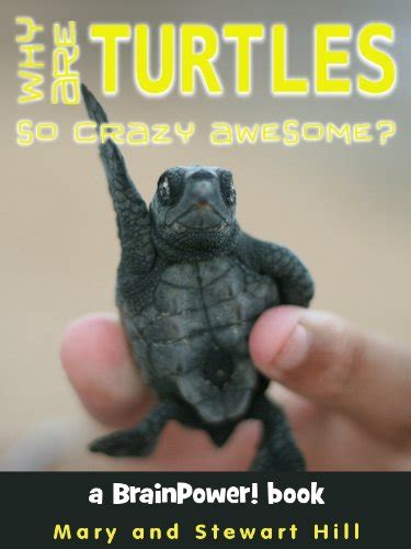 why are turtles so crazy awesome? brainpower books Reader