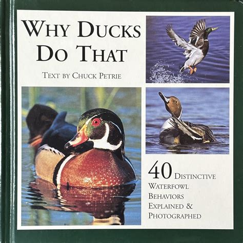 why ducks do that 40 distinctive waterfowl behaviors explained and photographed Kindle Editon