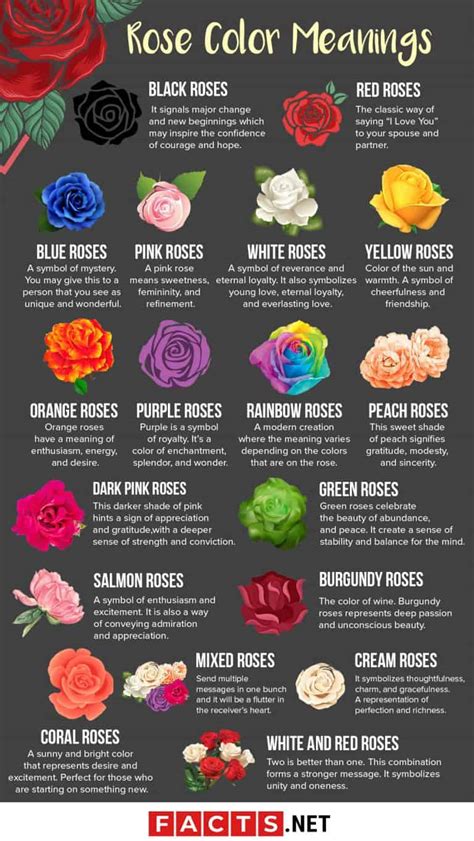 why send red roses a guide to floral etiquette Doc