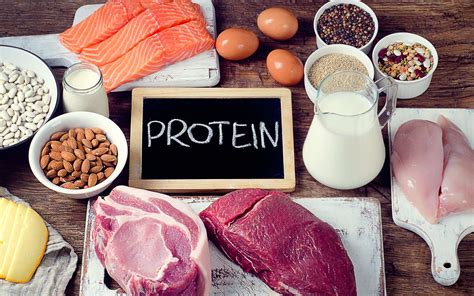 why we need proteins science of nutrition PDF