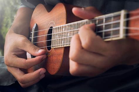 wie man ukulele spielt vollstandiges Epub