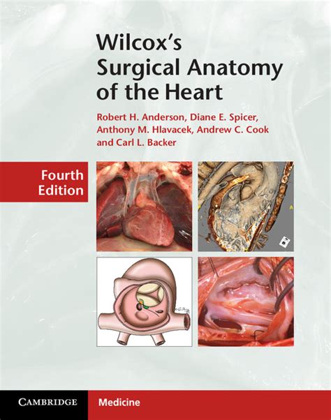 wilcoxs surgical anatomy of the heart Epub