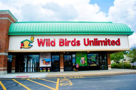 wild bird store near me