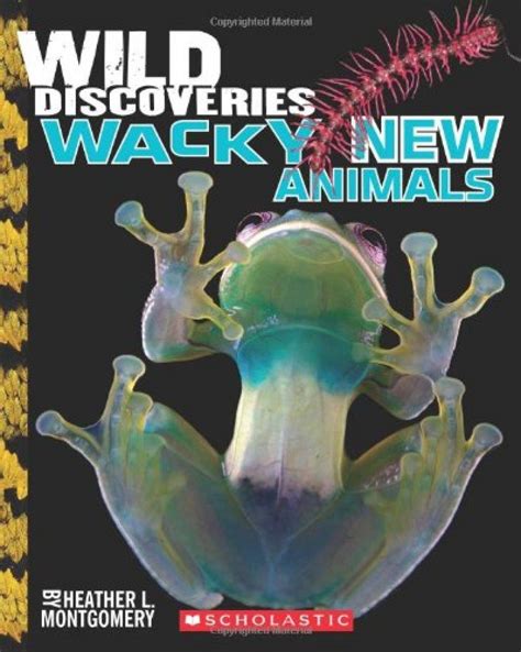 wild discoveries wacky new animals Reader