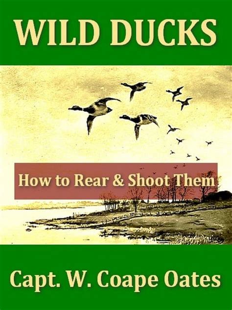 wild ducks how to rear and shoot them Reader