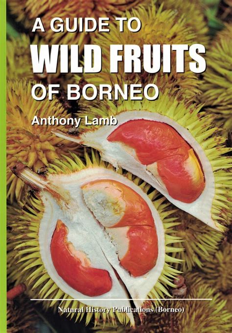 wild flowers and fruits book pdf free Kindle Editon