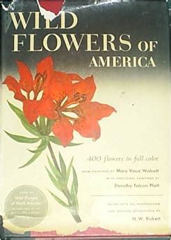 wild flowers of america 400 flowers in full color Kindle Editon