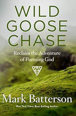 wild goose chase reclaim the adventure of pursuing god Kindle Editon
