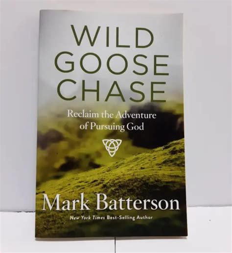 wild goose chase reclaim the adventure of pursuing god Kindle Editon