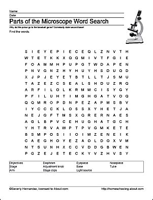 wild goose company microscope word search Doc