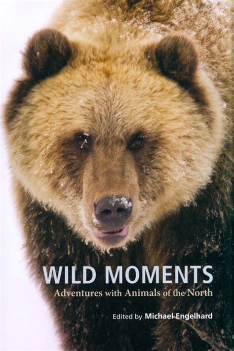 wild moments adventures with animals of the north PDF