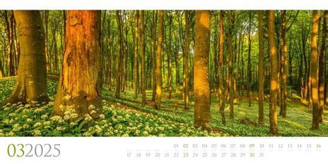 wilde sch ne wegesrand wandkalender 2016 PDF