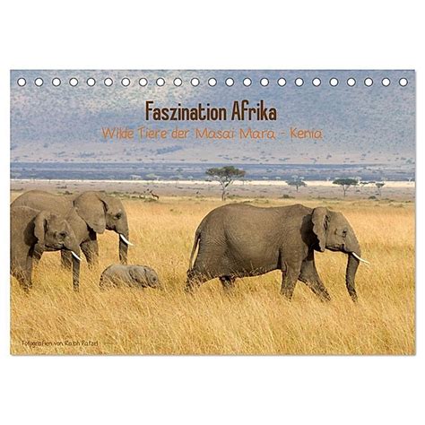 wilde tiere afrikas tischkalender 2016 Epub