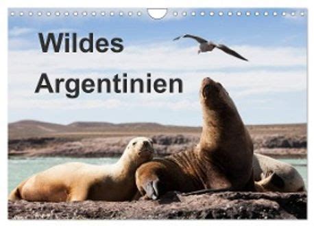 wildes argentinien wandkalender 2016 quer Doc