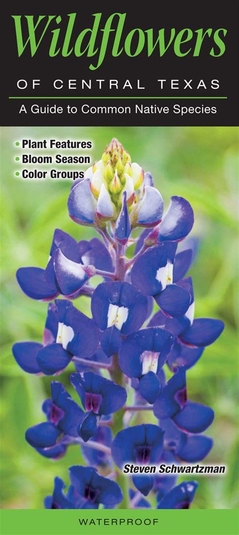 wildflowers of central texas a guide to common native species quick reference guides Reader