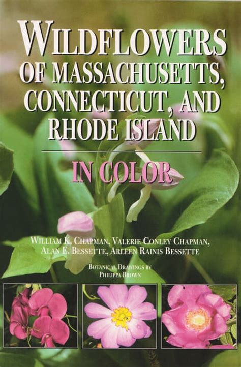 wildflowers of massachusetts connecticut and rhode island in color wildflowers of massachusetts connecticut and rhode island in color PDF