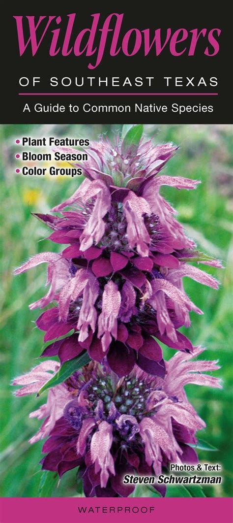 wildflowers of southeast texas a guide to common native species quick reference guides Epub