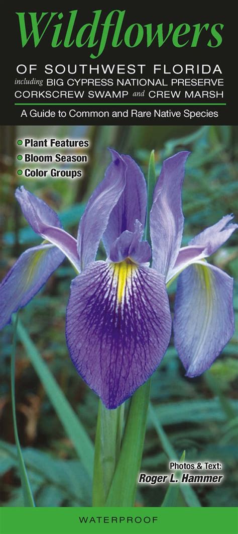 wildflowers of southwest florida including big cypress np corkscrew swamp and crew marsh a guide to common and rare Epub