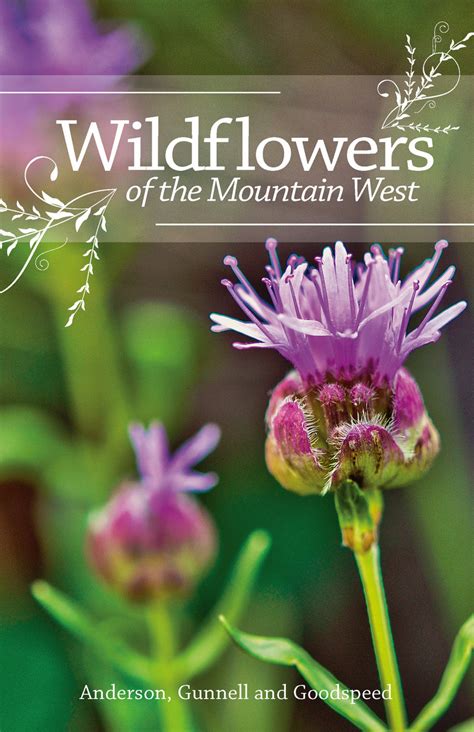 wildflowers of the mountain west Reader