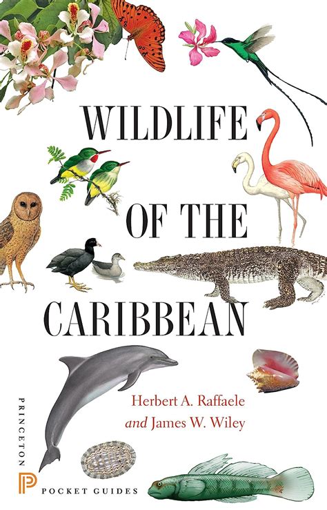 wildlife of the caribbean princeton pocket guides Kindle Editon