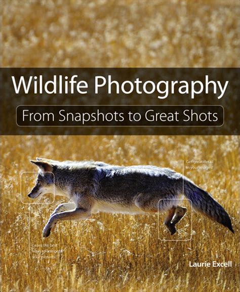 wildlife photography from snapshots to great shots Doc