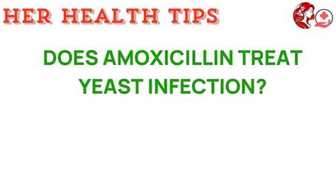 will amoxicillin cure a yeast infection