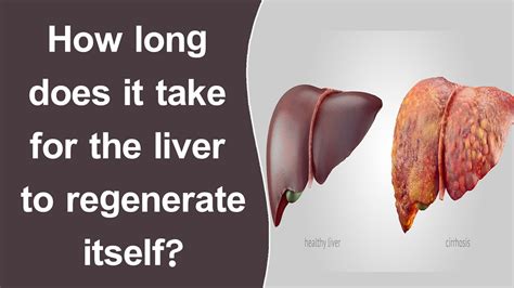 will your liver repair itself Kindle Editon