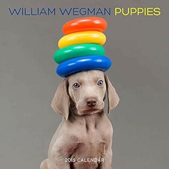 william wegman puppies 2015 wall calendar Doc