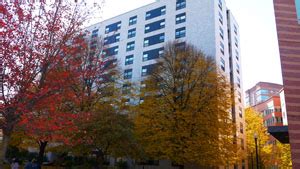 willis hall northeastern university