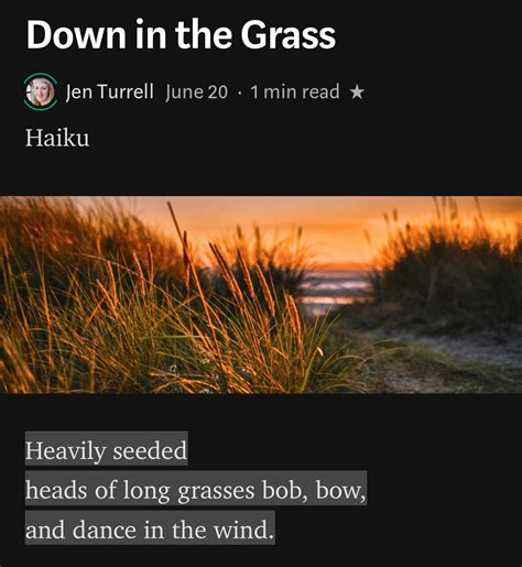 wind in the long grass a collection of haiku Epub