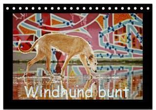 windhund bunt tischkalender 2016 quer PDF