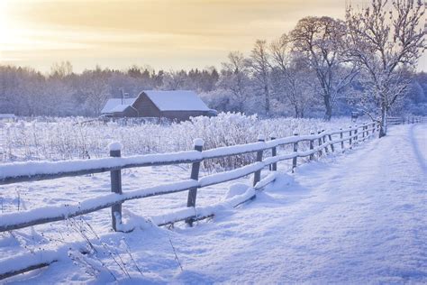 winter on the farm winter on the farm PDF