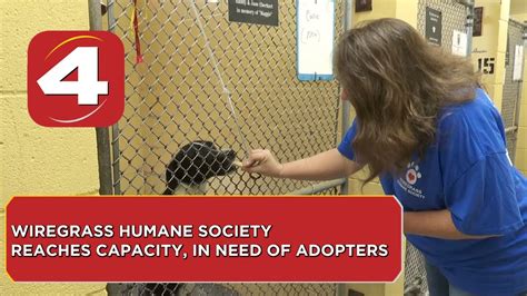 wiregrass humane society