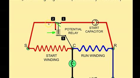 wiring diagram potential relay Doc