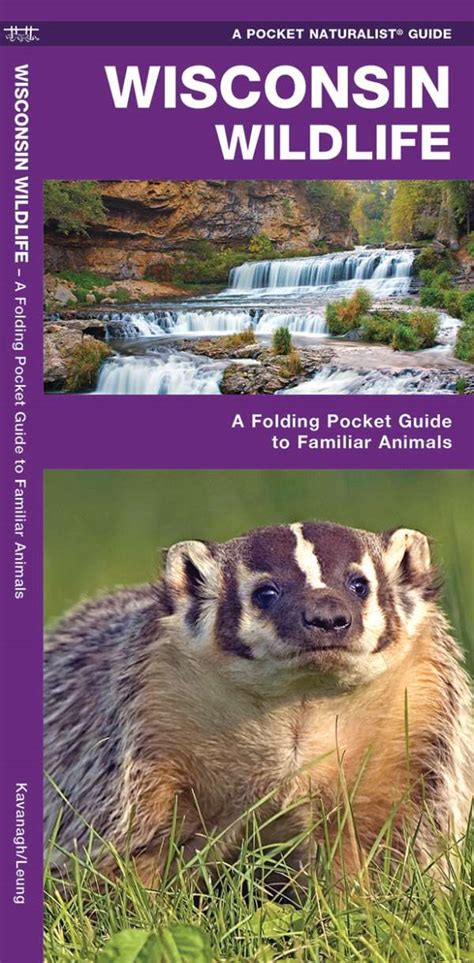 wisconsin wildlife viewing guide wildlife viewing guides series Kindle Editon