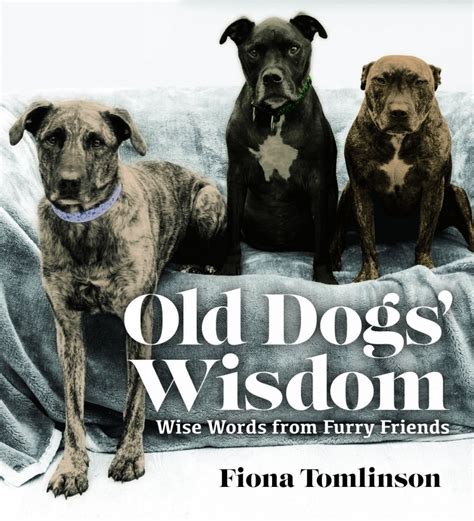 wisdom of old dogs pdf download Reader