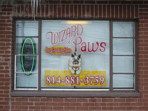 wizard of paws grooming