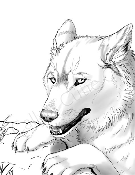 wolf coloring book an adult coloring book of wolves featuring 40 wolf designs in various styles animal coloring Epub