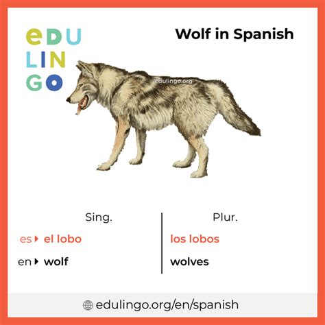 wolf in spanish language